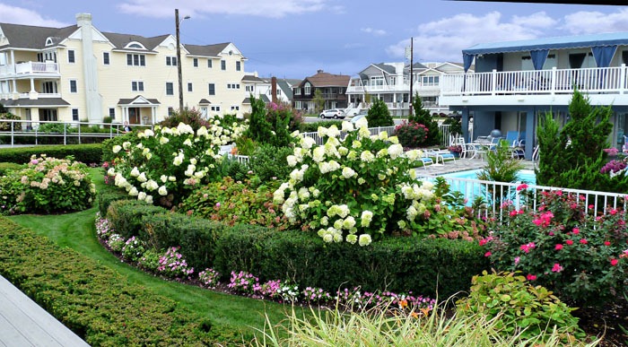 Ocean City Gardens 3