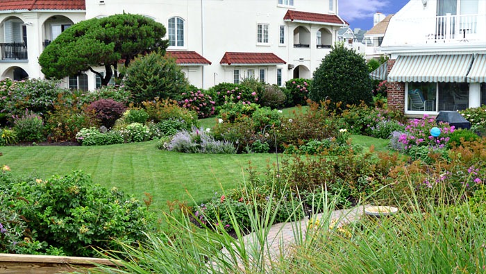 Ocean City Gardens 4